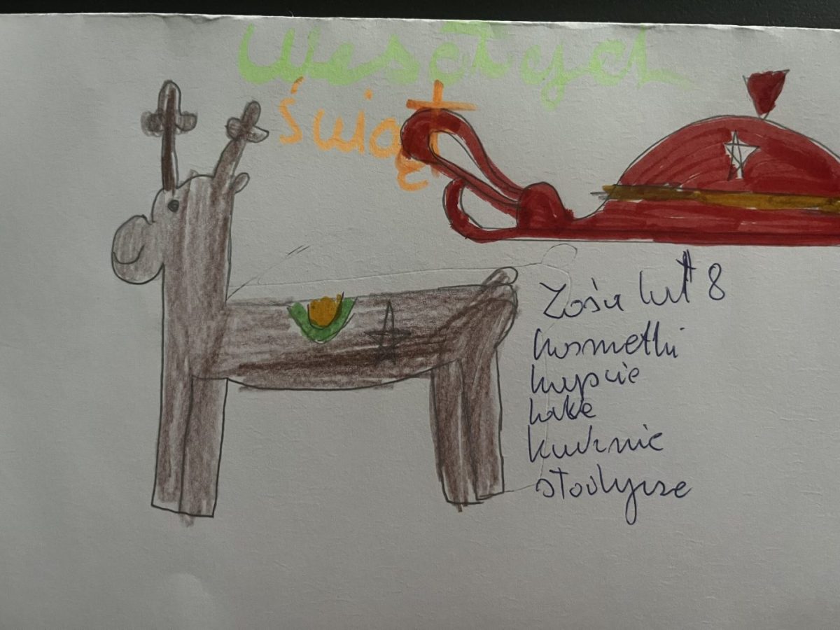 Święty Mikołaj POSZUKIWANY